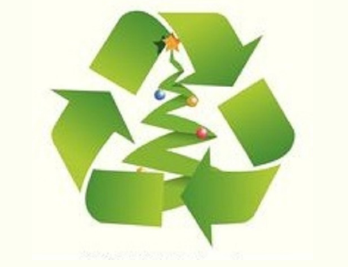 FREE Council Christmas Tree Disposal Sites
